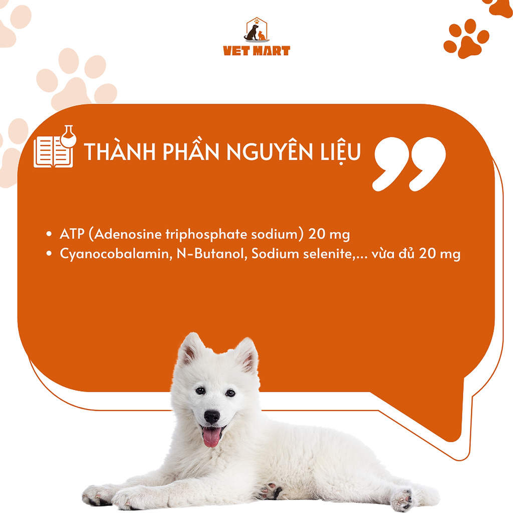 Five-ATP for pet Dung Dịch Uống Hỗ Trợ Tăng Lực - Phục Hồi Sức Khỏe Cho Thú Cưng, gà đá 20ml