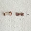 JVSUB 10 Chiếc Nơ BB Kẹp, Cotton Màu Be Cà Phê Nơ Kẹp Tóc, Barrettes Thời Trang Dễ Thương Nổ Kẹp Tóc