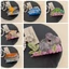 JUNYUE88US Koala Vuốt Tóc, Kẹp Tóc Động Vật Gấu Acrylic, Kẹp Thời Trang Phụ Kiện Tóc Hoạt Hình Cá Mập Lớn Kẹp Cô Gái