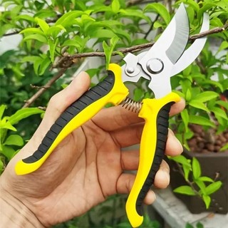 Jkdesign Kéo làm vườn, Kéo cắt tỉa cành bằng thép không gỉ hình mỏ chim, Dụng cụ làm vườn chuyên nghiệp Tiết kiệm nhân công Kéo hái trái cây