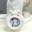 Meow Fox Huy Hiệu Sang Trọng Thanh Chirp Bảo Quản Trong Suốt, Túi Đau Nhỏ, Hiển Thị Thung Lũng, Bảo Vệ Vỏ Sinh Viên