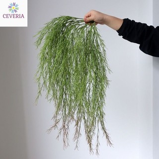 Cành măng tây rừng dáng rủ treo tường cành dày nhiều nhánh CEVERIA 55cm phù hợp trag trí nhà, làm hoa cưới