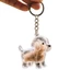 Top Mini Thú Cưng Bộ Thu Tóc Móc Khóa Hình Chó Dễ Thương Lông Thú Hộp Bảo Quản Mèo Người Yêu