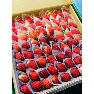 Dâu Tây Đà Lạt Sky-Aki - hộp 500g