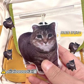 10cm Hoạt Hình Dễ Thương Mô Phỏng Mèo Oiai Móc Khóa Mèo Xấu Xí Và Dễ Thương Sang Trọng Móc Khóa Hoạt Hình Mèo Con Búp Bê Túi Mặt Dây Chuyền Quà Tặng Sinh Nhật