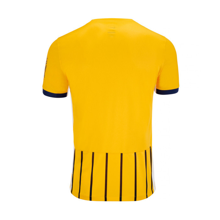 [Sy3] 2024-2025 Premier League Brighton Hove Albion Câu lạc bộ bóng đá sân khách Áo thun Fan Size Plus