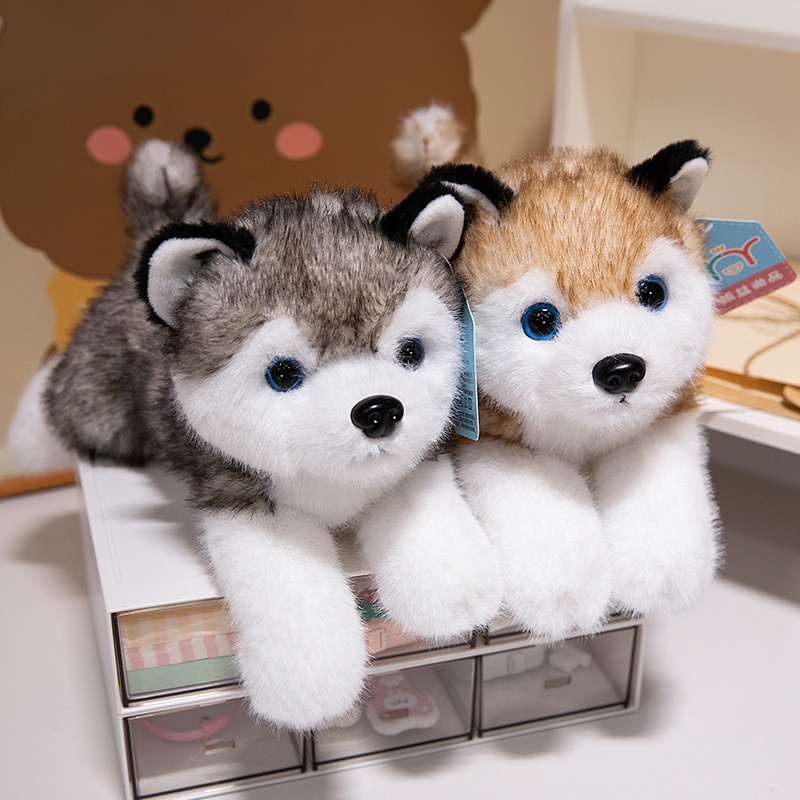 ✨Hàng có sẵn✨Kawaii Siberia Husky Sang Trọng Đồ Chơi 30-50cm Dễ Thương Husky Sang Trọng Búp Bê Gối Thú Cưng Vui Nhộn Đồ Chơi Nhồi Bông Gối Ngủ Mềm Đồ Chơi Cho Bé Trang Trí Nhà Trẻ Em Quà Tặng Sinh Nhật Quà Tặng Giáng Sinh COD