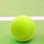 Quả bóng chơi thú cưng ROLY, Quả bóng Tennis không độc hại có độ đàn hồi, Cuộc thi bóng thực hành bền bỉ