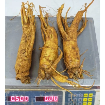 Sâm tươi Hàn Quốc ngâm mật ong 3 củ= 500g, sâm trụi, nhân sâm hầm gà, nhân sâm