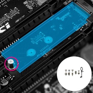 Bộ vít gắn SSD YXA Universal M 2 Chốt kim loại chống ăn mòn với trình điều khiển tiện dụng cho cài đặt bo mạch chủ
