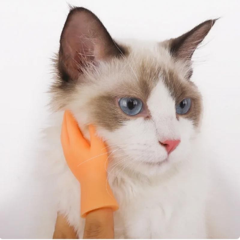 Nắp Ngón Tay Nhỏ Tiktok Năm Ngón Tay Mở Lòng Bàn Tay Mini Ngón Tay Nhỏ Trêu chọc Mèo Đồ Chơi Nhỏ Sáng Tạo Ngộ nghĩnh