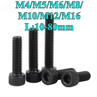 ((LXY) ốc lục giác/ốc lục giác chìm/12.9 Ốc Vít Lục Giác Thép carbon Răng nhỏ/Ốc Vít  Lục Giác  loa/bulong Lục Giác chìm đầu trụ trơn/Chủ đề ngược M4 / M5 / M6 / M8 / M10 / M12 / M16 * L: 10-80mm (RM-VN-1)