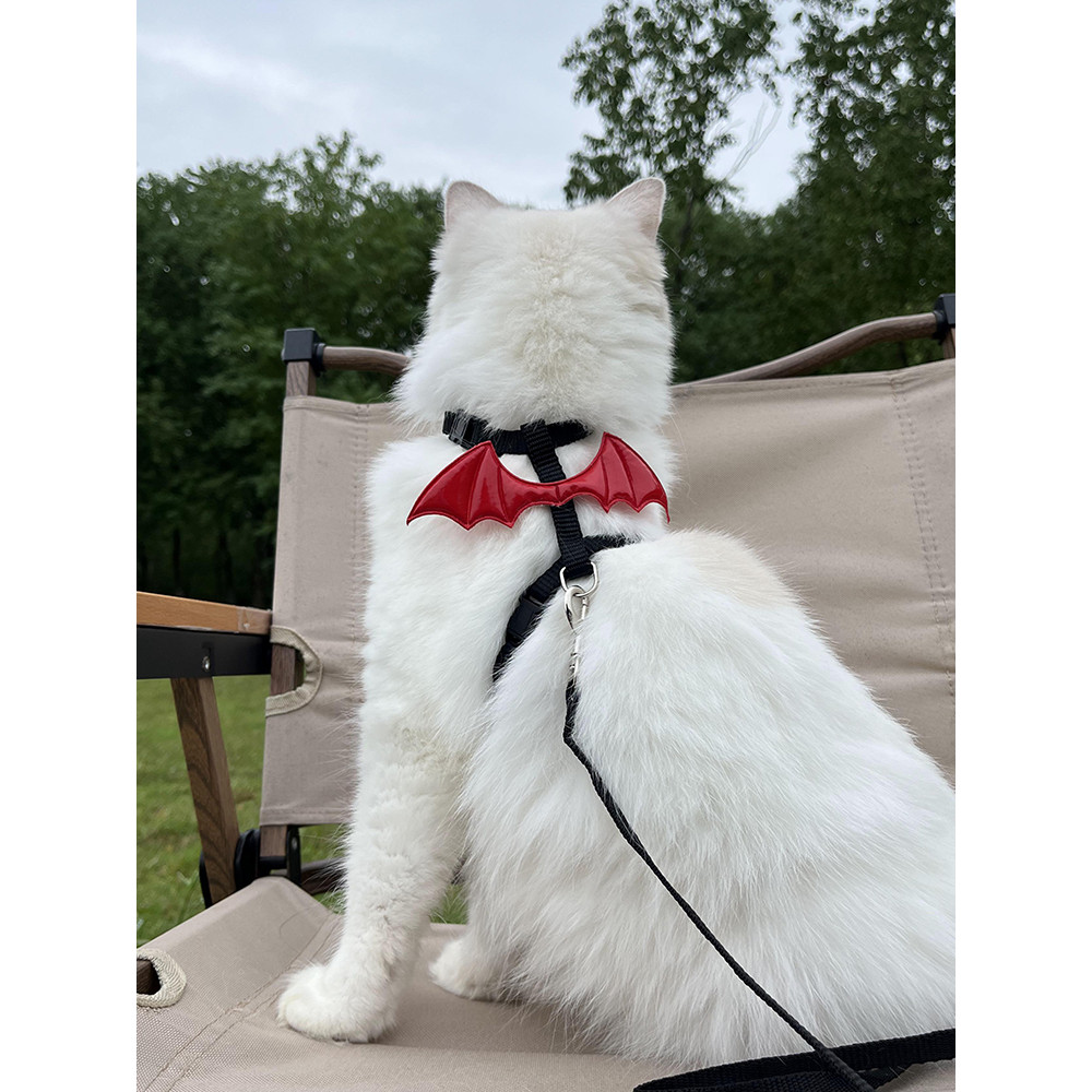 [Pet-Eleven] Dây kéo mèo Halloween ngộ nghĩnh Hình chữ I Dây xích mèo chống chia tách Bichon Chó nhỏ Dây dắt chó đi bộ