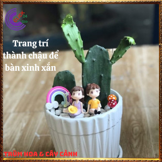 Cây xương rồng tai thỏ Nopal không gai nấu ăn được nhiều món ngon ⌛ Siêu Thị Hoa Và Cây Giống