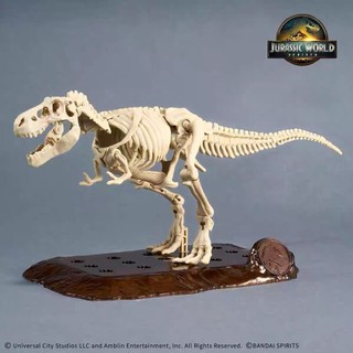 Bandai Model JURASSIC World Rebirth JURASSIC Tyrannosaurus Rex Fossil Dinosaur Hội