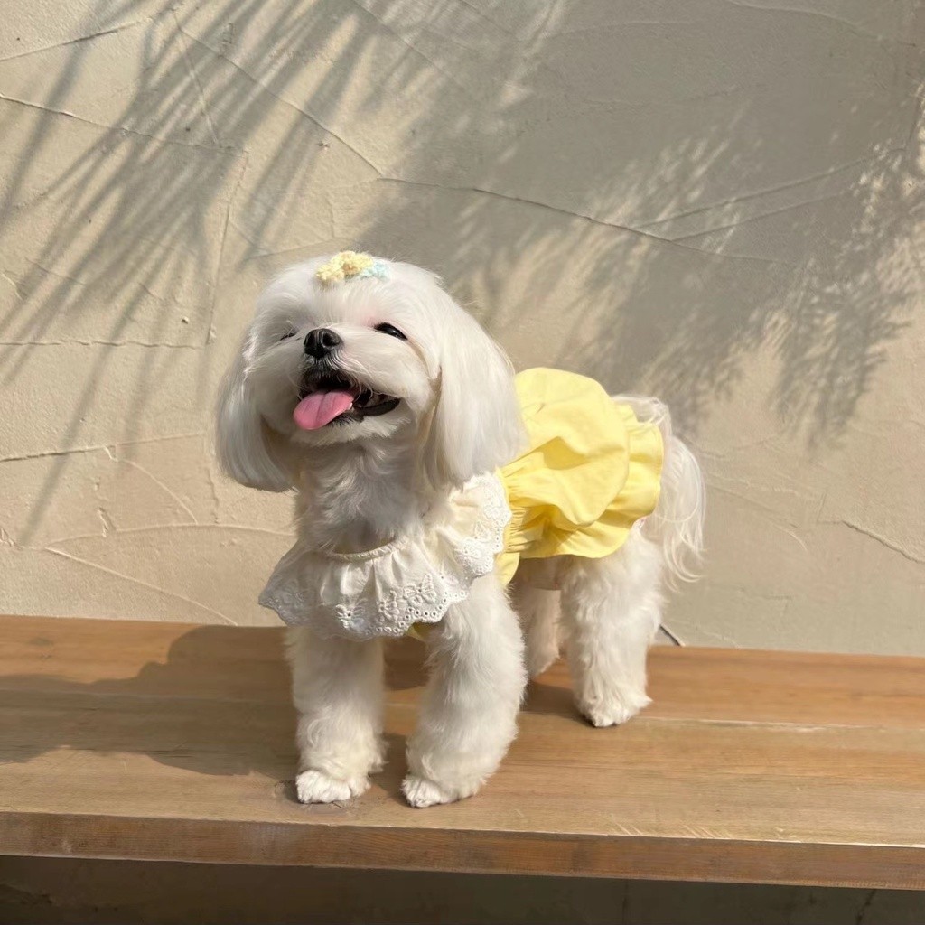 Dễ Thương Phong Cách Công Chúa Maltese Thú Cưng Chó Macaron Quần Áo Váy Ren Mỏng Phong Cách Mùa Hè Mèo Chống Trơn JN81- * * &