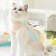 Áo Vest Quần Áo Thú Cưng Lưới Thoáng Khí Chống Trơn Đi Chơi Lực Kéo Nhẹ Chống Nắng Chống Tia Cực tím Quần Áo Mỏng Quần Áo Chó Mèo Teddy / Bichon / Schnauzer Chó Nhỏ Vừa