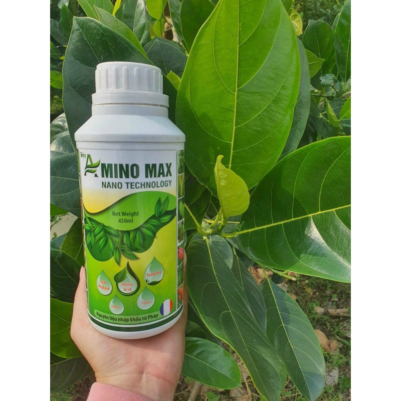 Phân bón AMINO MAX Pháp Bung Đọt, Xanh Lá, Bóng Trái , Mát Cây chai 450ml