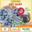 1 hộp Việt quất U.S.A (125g) Nam Phi ống (200g)