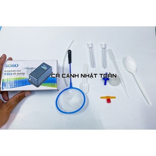 Combo bộ ấp Artermia và máy tạo oxy 1 vòi (không bình) cho cá cảnh