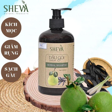 Dầu gội bồ kết bưởi cô đặc, dầu gội thảo dược hỗ trợ mọc tóc hiệu quả SHEVA 550ml @