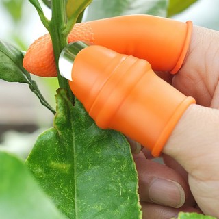 Bao Ngón Tay Silicon Ngắt Rau Hái Rau Củ Gắn Móng Kim Loại Săc Bén Thu Hoạch Rau Củ Quả Tiện Dụng SUNND