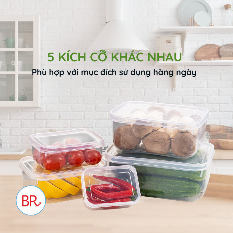 Bộ 5 hộp lạnh bầu đựng thức ăn Việt Nhật, Hộp trữ đồ đông đồ ăn dặm cho bé (MS:6685) an toàn tiện lợi - br 01285