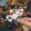 Sund Cô Dâu Cưới Phụ Kiện Tóc Hoa Sáng Bóng Kim Cương Giả Lược Tóc Barrette Trang Sức Sang Trọng Nữ Mũ Đội Đầu VN