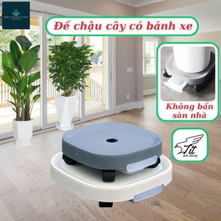 Kệ đế chậu cây di động có bánh xe và khay hứng nước thừa tiện lợi.