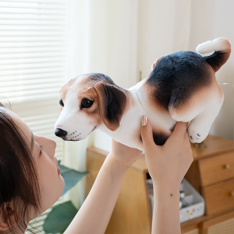 Chó Dễ Thương Sang Trọng Đồ Chơi Kawaii Mô Phỏng Chó Sang Trọng Búp Bê Thú Cưng Vui Nhộn Chó Con Đồ Chơi Nhồi Bông Sáng Tạo Trang Trí Phòng Ngủ Nhà Búp Bê Mềm Mại Cho Bé Búp Bê Làm Dịu Trẻ Em Bạn Gái Quà Tặng Sinh Nhật