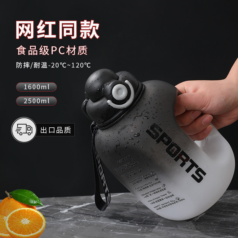 2500ML Mới Dung Tích Lớn Thể Thao Ngoài Trời Bình Nước Rút Tay Di Động Dung Tích Lớn Bình Nước Chịu Nhiệt Độ Cao Tách Trà
