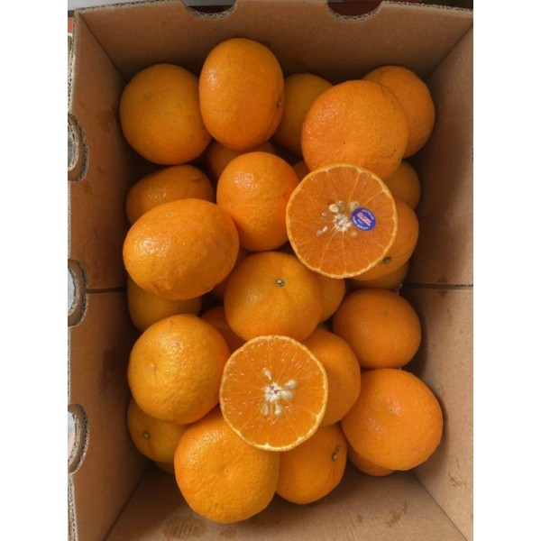 Quýt Úc Siêu Ngọt 🍊 Trái Căng Bóng – Vị Ngọt Mát Lành – Giao Nhanh Tận Nhà