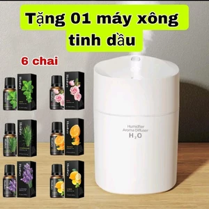 Combo 6 lọ xông tinh dầu phòng 10ml - Tặng kèm 1 máy phun sương mini | Máy khuếch tán, máy tạo độ ẩm