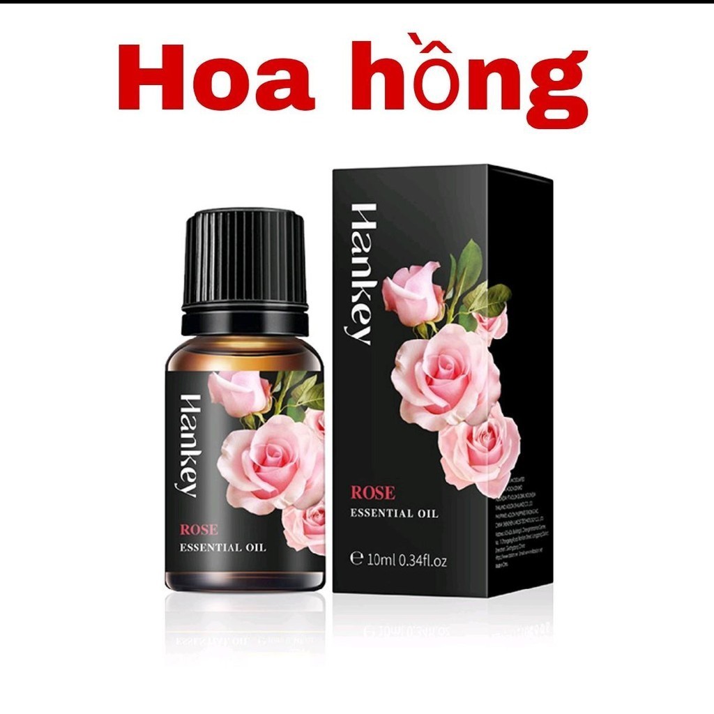 3 tinh dầu TẶNG máy xông ( Combo trải nghiệm chỉ 59k ) Thơm phòng, thư giãn, đuổi mũi