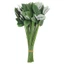 PWSSEND 10 Chiếc Hoa Dính Thanh, Trang Trí Nhà 33cm Thân Hoa Giả, Phụ Kiện Làm Vườn Thủ Công Nhựa DIY Hoa Hồng Hoa Đầu Trang Trí