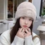 Mũ dệt kim CHEESELY, Làm dày Giữ ấm Mũ Bonnet, Chống gió Lạnh Bảo vệ tai thanh lịch Thể thao ngoài trời