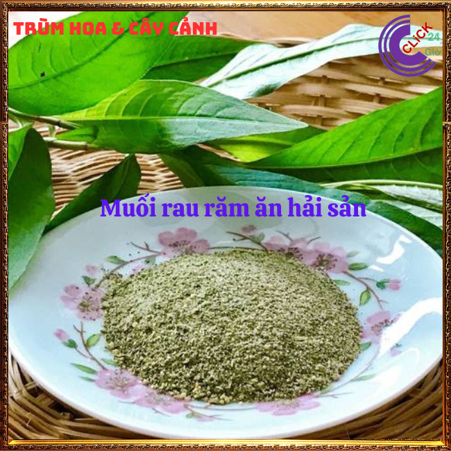 Chậu rau răm ta lá nhỏ rất thơm đem đến hương vị đặc biệt cho món ăn ⏰TRÙM HOA VÀ CÂY CẢNH