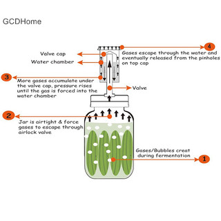 Gcdhome 86mm / 70mm Bình miệng rộng Nắp lên men Bộ giữ thức ăn chìm HOT