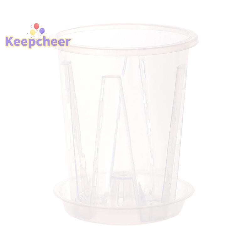 [Keepcheer] Chậu hoa trong suốt kiểm soát rễ có khay đựng vảy lan Phalaenopsis [Mới]