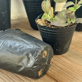50 100 Chiếc Nhựa Hạt Giống Chậu Hạt Đen Trồng Túi Hoa Hộp Đựng Thoáng Khí Vườn Rau Chậu Trồng 100 cái phù hợp dùng cho gia đình căn hộ văn phòng và không gian nhỏ giúp sắp xếp làm sạch gọn gàng và sử dụng hằng ngày tiện lợi