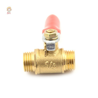 TWE G1 / 4 Ống Nam Đến Nam Ren Đồng Van Đầu Nối VN