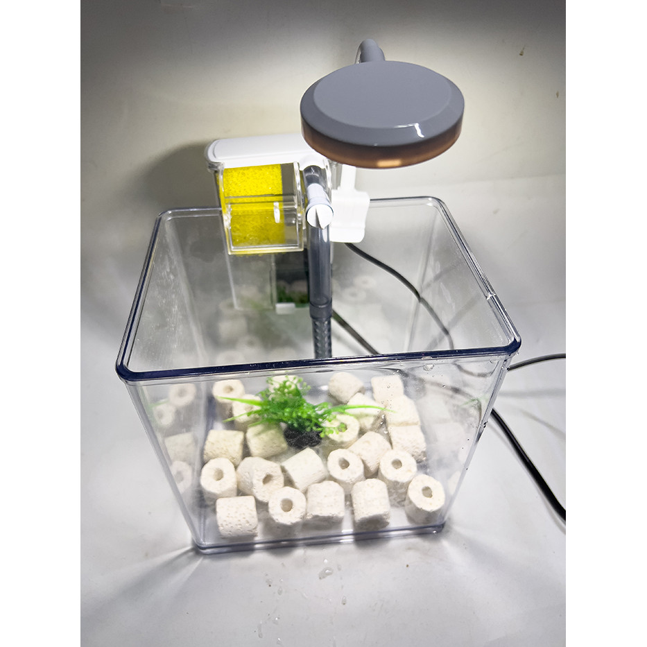 Combo Bể Cá Mini Mica Gồm (Bể, Lọc, Đèn, Phụ Kiện Trang Trí) ( D15cm x R15cm x C12cm)