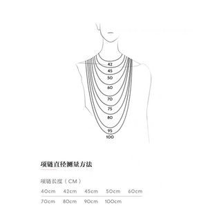 Spot goods [2024 New style] heart-shaped clasp snake bone chain necklace necklace 925 silver