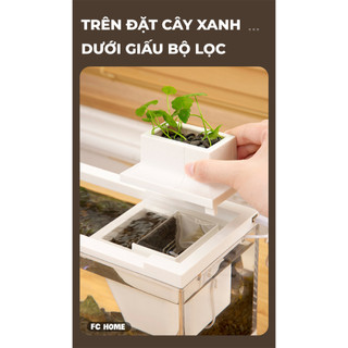 Bể cá mini BUNA có máy bơm nước có tích hợp đèn thủy sinh, bể cá để bàn văn phòng 30*13*19.3cm