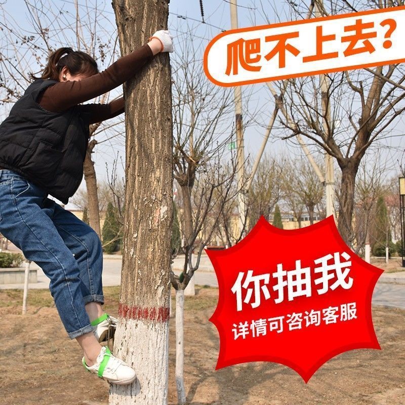 T Cây Leo Núi Tiện Dụng Cụ Phong Cách Mới Móng Vuốt Mèo Leo Núi Dụng Cụ Cây Giày Khóa Chân Ngoài Trời Ngựa Bắt Ong Chuyên Dụng Dây Buộc Chân