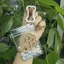 QEARY Mèo Móng Vuốt Móc Khóa, Handmade Thú Cưng Dễ Thương Móc Khóa Bảo Quản Tóc, Treo Di Động Sáng Tạo Thú Cưng Túi Bảo Quản Tóc Thú Cưng Người Yêu Thú Cưng