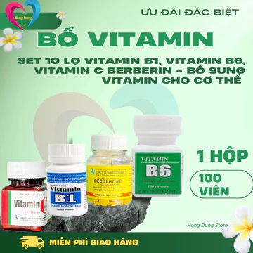 Set 10 lọ Vitamin B1, Vitamin B6, Vitamin C Berberin - Bổ sung vitamin cho cơ thể 100 viên - Đại Uy