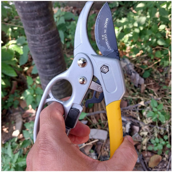 Kéo Cắt Cành SK5 Chuyên Nghiệp Cộng Lực, Tỉa Cành Cây Cảnh, Cây Ăn Trái, Cắt Nhẹ Tay Không Mỏi