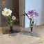 Kittenbaby Acrylic Khung Ảnh Bình Hoa Nghệ Thuật Hiện Đại Bình Hoa Để Bàn Giá Đỡ Cây Cho Văn Phòng Nhà Quà Tặng Bàn Cưới Centerp Trang Trí Mới
