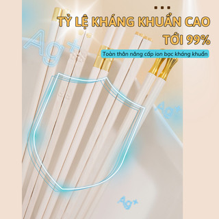 Bộ 5 Đôi Đũa Kháng Khuẩn Đầu Đũa Trơn Bunnies Đũa Sợi Thủy Tinh Ăn Cơm Cao Cấp Kiểu Dáng Hiện Đại